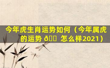 今年虎生肖运势如何（今年属虎的运势 🐠 怎么样2021）